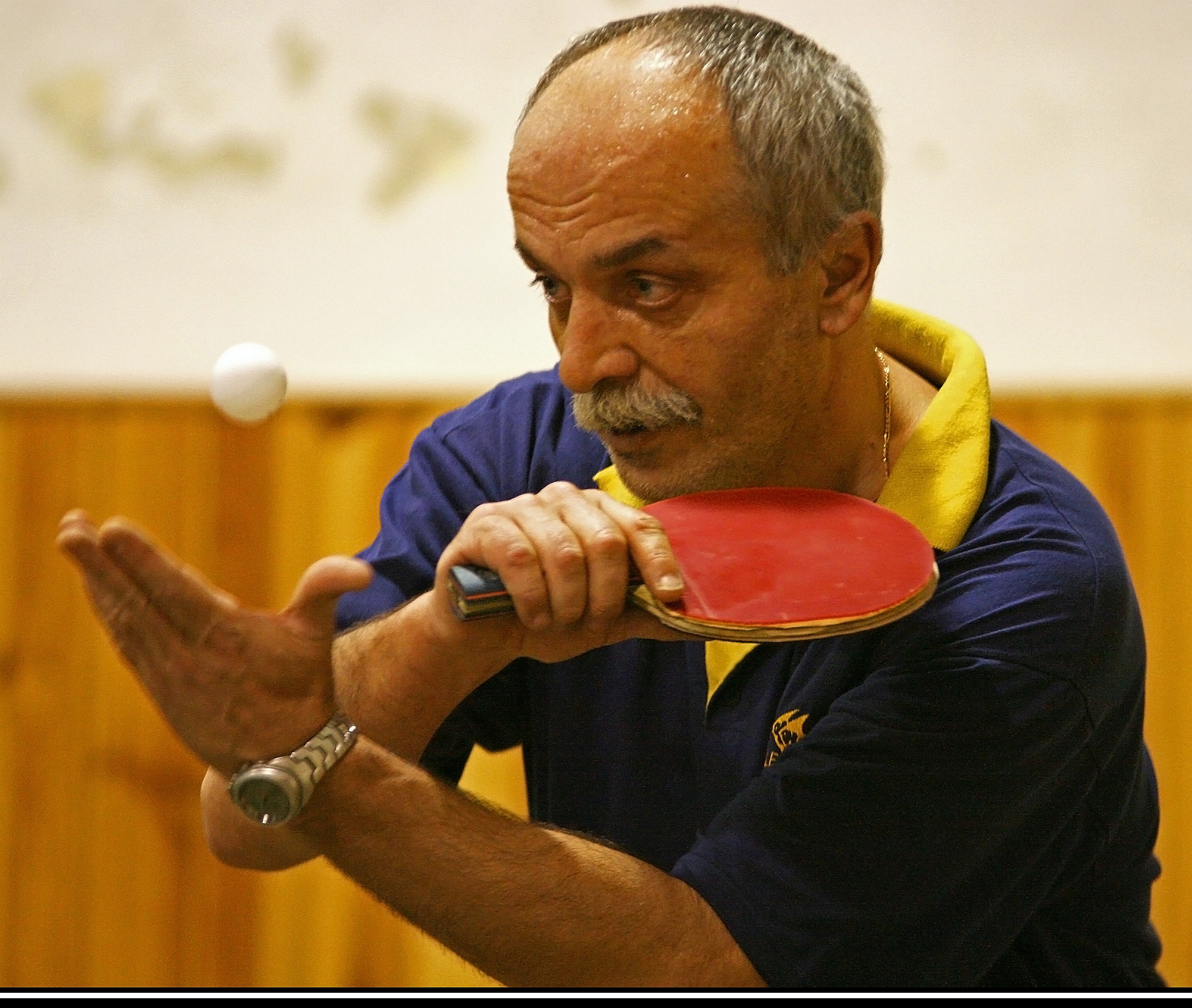 Pinec-PepikPancir02.jpg
